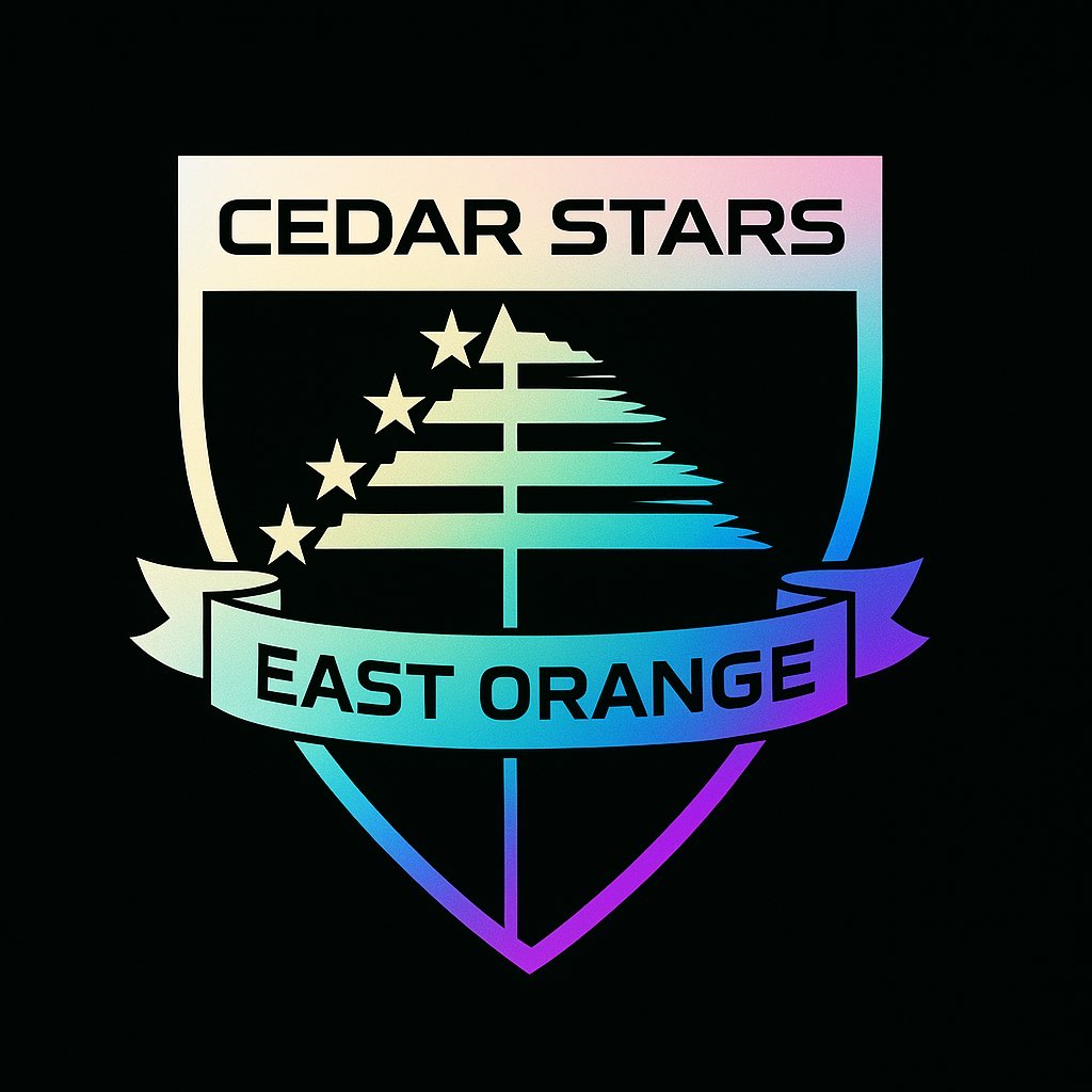Cedar Stars Academy Logo